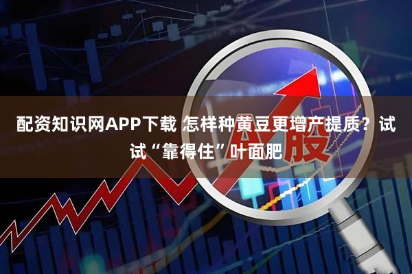 配资知识网APP下载 怎样种黄豆更增产提质？试试“靠得住”叶面肥