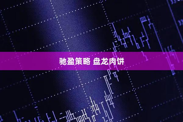 驰盈策略 盘龙肉饼